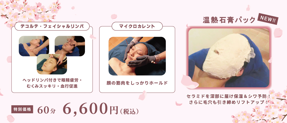 石膏美肌キャンペーン