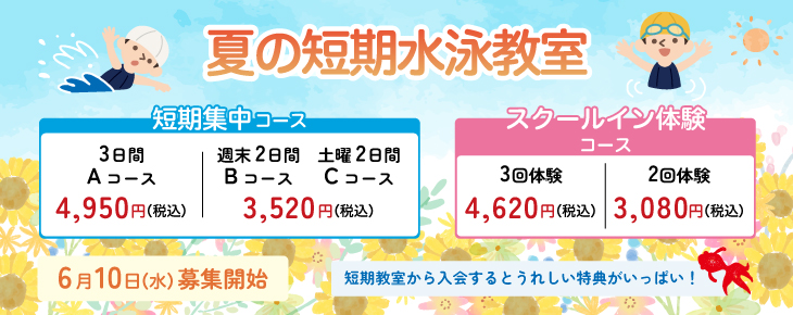 夏の短期水泳教室